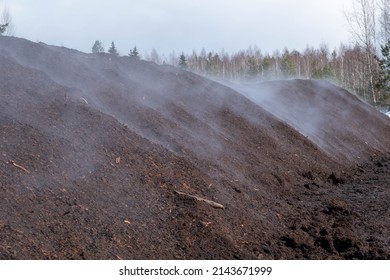 Peat Harvesting. Field With Piles Of Harvested Peat.