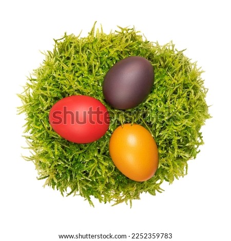 Peat moss Easter nest with three multicolored Easter eggs. Colorful dyed Paschal eggs arranged in a circular soft nest, made of green peat moss, collected in the forest. Used for traditional egg hunt.