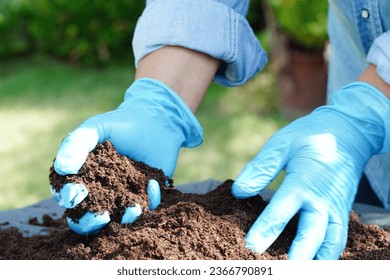 Peat moss, fertilizer soil for organic agriculture, plant growing, ecology concept. - Shutterstock ID 2366790891