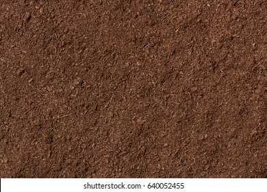 peat soil as a background - Shutterstock ID 640052455