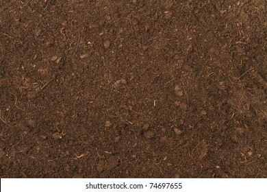 Peat Soil As A Background