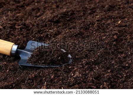 Peat soil on a shovel close-up with space for text. Garden tools on the background of the texture of fertile soil, top view. Concept of gardening or planting. Work in the spring garden. Copy space.