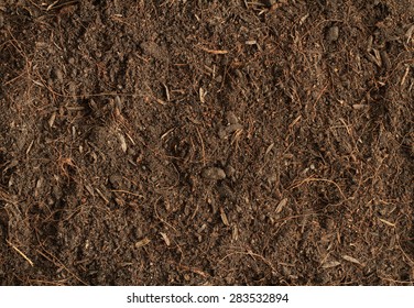 Peat Soil Texture Background