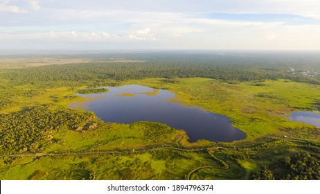 Peat Swamp Forest landscape with big lake in the middle. Central Borneo Plain. Aerial view. Peat swamp forests and swamps of Borneo aerial View.