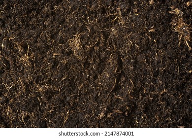 Peat Texture Close Up. Natural Fertilizer.