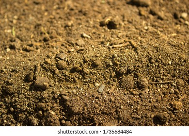 Peat, Turf Closeup. Rich, Healthy Compost Dirt Ready For Garden. Soil Peat Moss Dirty Background, Soil Texture Closeup, Ground Surface.