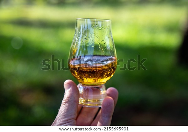 Peated single malt Scotch whisky, pure malt, in\
glencairn glass showing the high quality concentrated oily tears.\
Selective Focus