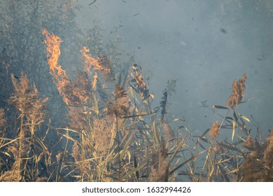 Peatland Fires Raging In Early Autumn