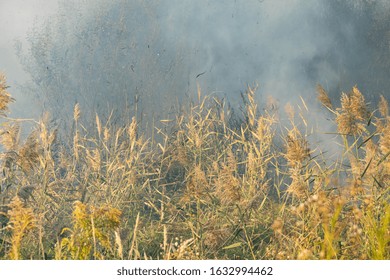 Peatland Fires Raging In Early Autumn