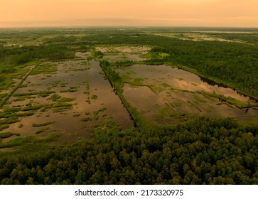 Peatland On Sunset. Marshland And Swamp Landscape. Wild Mire. East European Swamps And Peat Bogs. Swampy Land And Wetland, Marsh, Bog. Mining Peat. Drained Of Mire For Peat Extraction. Flooded Field.