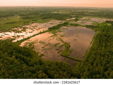 Peatland On Sunset. Marshland And Swamp Landscape. Wild Mire. East European Swamps And Peat Bogs. Swampy Land And Wetland, Marsh, Bog. Mining Peat. Drained Of Mire For Peat Extraction. Flooded Field.