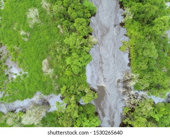 Peatland At Sumatra Rain Forest