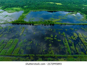 Peatland In Wet. Marshland And Swamp Landscape. Wild Mire. East European Swamps And Peat Bogs. Swampy Land And Wetland, Marsh, Bog. Mining Peat. Drained Of Mire For Peat Extraction. Flooded Field.