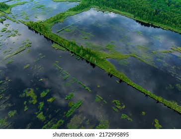 Peatland In Wet. Marshland And Swamp Landscape. Wild Mire. East European Swamps And Peat Bogs. Swampy Land And Wetland, Marsh, Bog. Mining Peat. Drained Of Mire For Peat Extraction. Flooded Field.