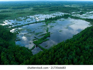 Peatland In Wet. Marshland And Swamp Landscape. Wild Mire. East European Swamps And Peat Bogs. Swampy Land And Wetland, Marsh, Bog. Mining Peat. Drained Of Mire For Peat Extraction. Flooded Field.