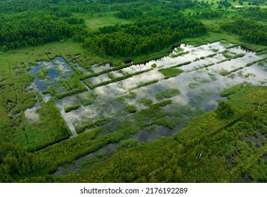 Peatland In Wet. Marshland And Swamp Landscape. Wild Mire. East European Swamps And Peat Bogs. Swampy Land And Wetland, Marsh, Bog. Mining Peat. Drained Of Mire For Peat Extraction. Flooded Field.