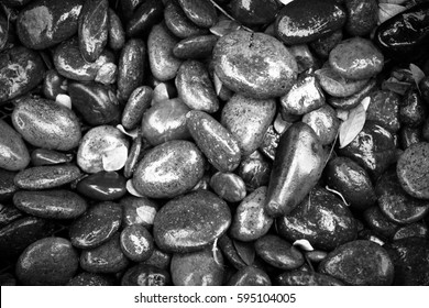 Pebble.