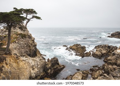 The Pebble Beach In Del Monte Forest, Monterey, California, The USA