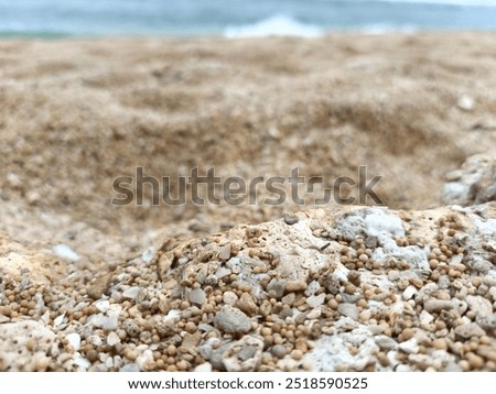 Pebble beach and seashell on clean sand. Close up, beach sand texture. summer sun.  for banner. Sandstone Macro Image - Beach Scenery