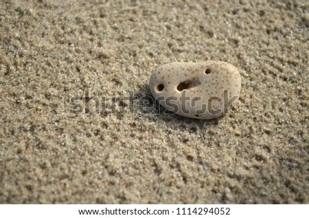 Pebble on sand, beach background. Funny stone with face, formed by holes. Illustration of pareidolia, optical illusion.