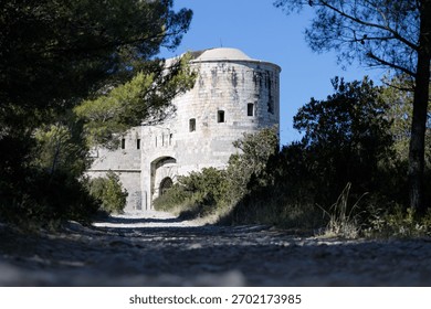 Pebble road through dense forest leads to old stone fortress with thick tower, small windows, high walls on sunny day, Kotor Bay, Montenegro