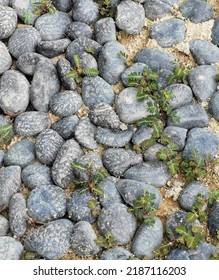 
Pebble Round Stones For Meditation On Blurred Abstract Background. Rounded Pebble Stones With Plants For Meditation Laying On Seacoast. Spa Stones, Zen Like Concept. 