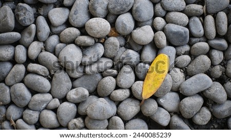pebble stones texture pattern with yellow leaf on the ground in the garden.