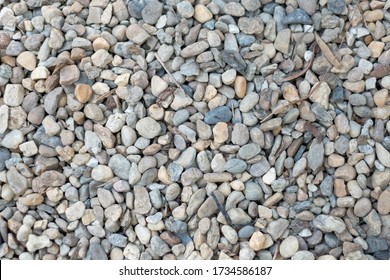 Pebbles background with dry leaves. Light color pebble rocks texture. 