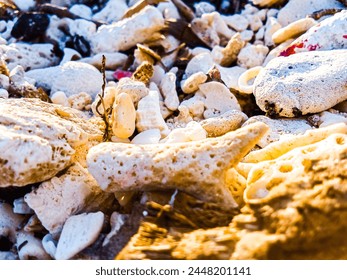 pebbles on the beach. White sand beach. pebble stone background 