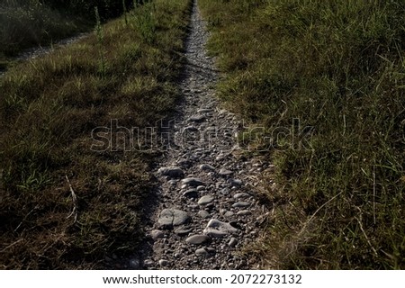 Similar – Image, Stock Photo Continue Trip Hiking Legs