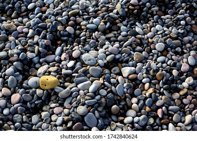 Pebbles On Skagen Beach In Denmark