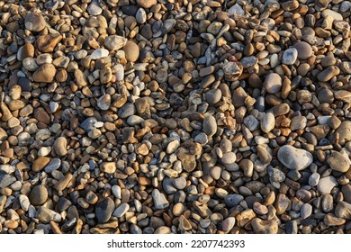 Pebbles On A Sussex Beach                              