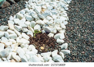 Pebbles, small white stones, the texture of the stone. Flower bed design - Shutterstock ID 2173718009