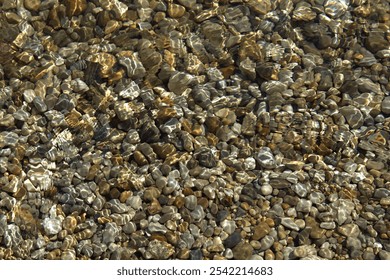 pebbles, water, riverbed, reflection, nature, stones, texture, underwater, ripples, sunlight, clarity, rocky, natural, surface, patterns, transparency, clear water, creek, flow, outdoors - Powered by Shutterstock