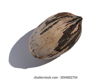 The pecan (Carya illinoinensis) is a species of the USA and northern Mexico in the region of the Mississippi River.  - Shutterstock ID 2054002754