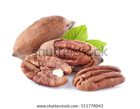 Pecan with leaves 商業照片 © 