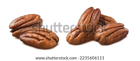 Pecan nut groups isolated on white background.  Package design element with clipping path