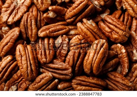 Pecan nuts background, top view