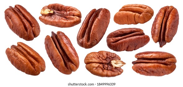 Pecan nuts isolated on white background with clipping path, collection