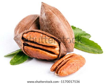 pecan nuts isolated on white background