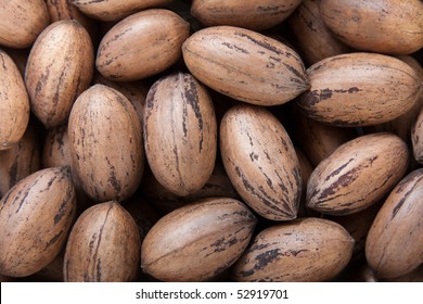 Pecan Nuts In Shells