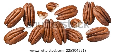 Pecan nuts, whole and pieces, scattered group isolated on white background. Top view. Package design elements with clipping path 商業照片 © 
