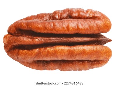 Pecan walnut kernel isolated close up