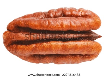 Pecan walnut kernel isolated close up