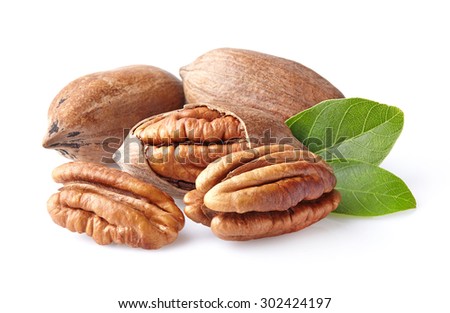 Pecans with leaves