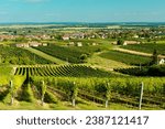 Pecs or Pécs city in Hungary near Villany town with grape field and city center are amazing in central Europe