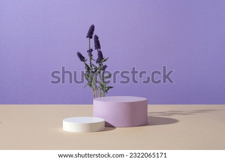 Pedestal for cosmetic product and packaging mockups presentation. Cylinder white and purple podiums with fresh lavender flowers on purple background. Concept with natural flower