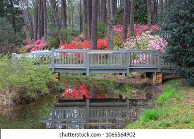 Callaway Gardens Images Stock Photos Vectors Shutterstock