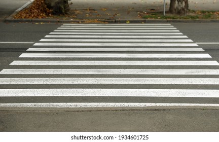 横断歩道 Hd Stock Images Shutterstock