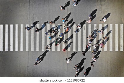 Pedestrian Crosswalk Aerial View From Above